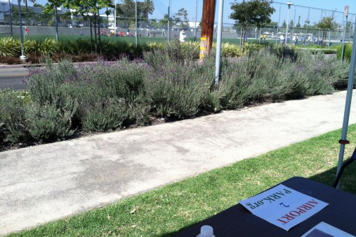 A2P at SMO 130921-788